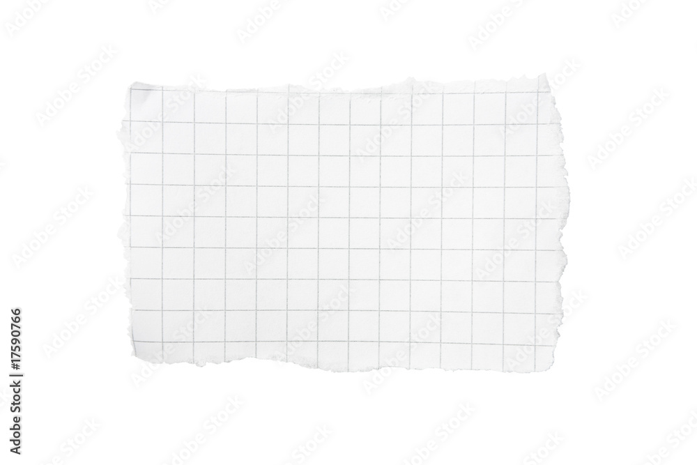 Ripped Bit of Squared Paper Ripped Bit of Squared Paper