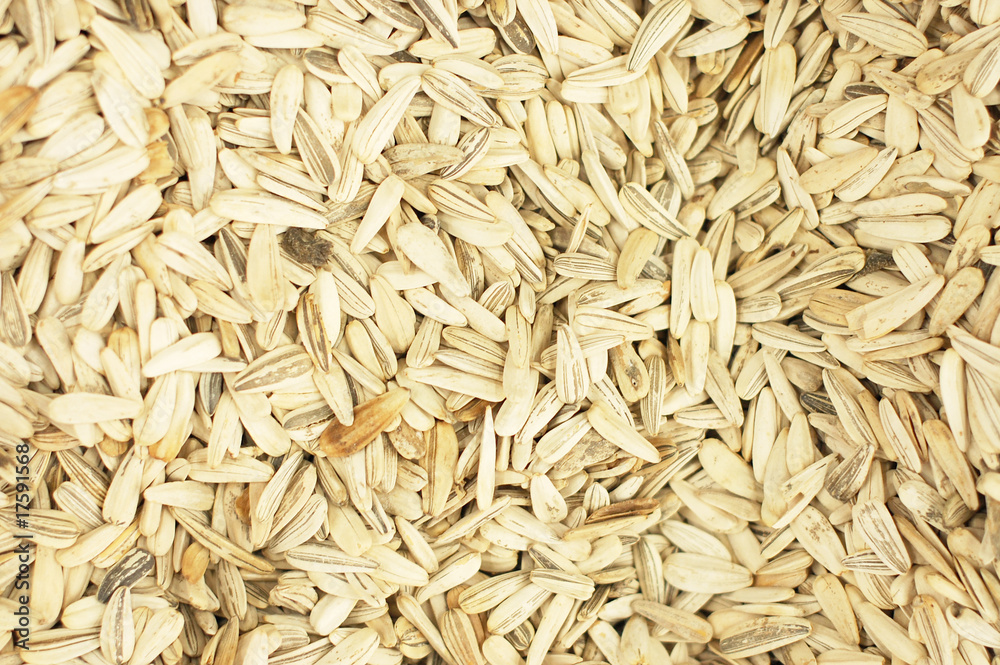 Sunflower seeds background Sunflower seeds background