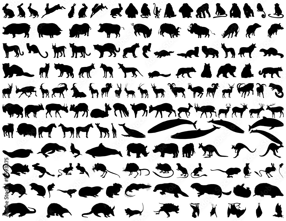 animals silhouette set animals silhouette set