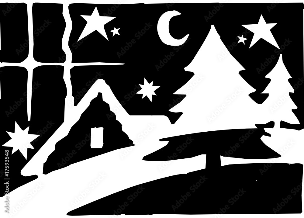 Fototapeta premium Winterlandschaft bei Nacht