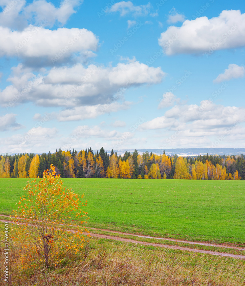 Naklejka premium Autumn