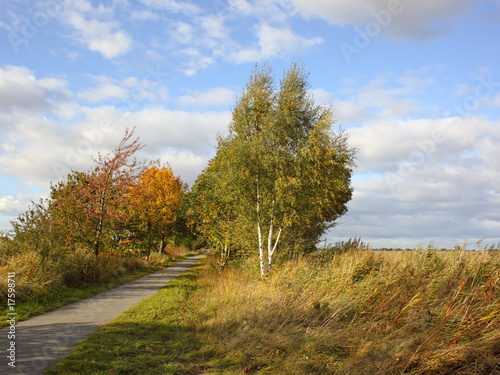 autumn cycle path