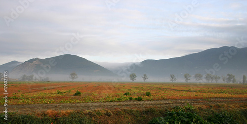 campagna toscana