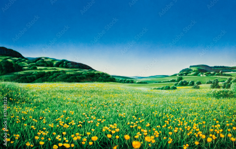 Blumenwiese vor Hügeln