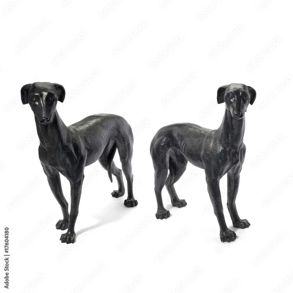 Fototapeta premium Hunde