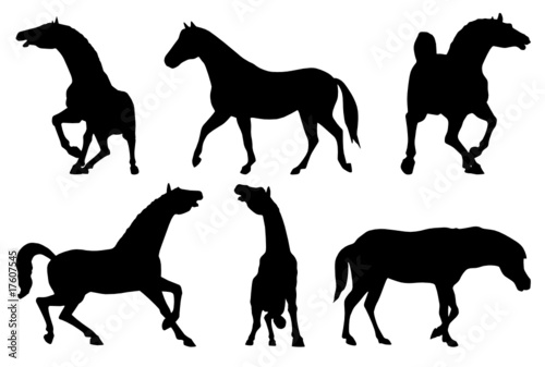 Illustration of horses silhouettes