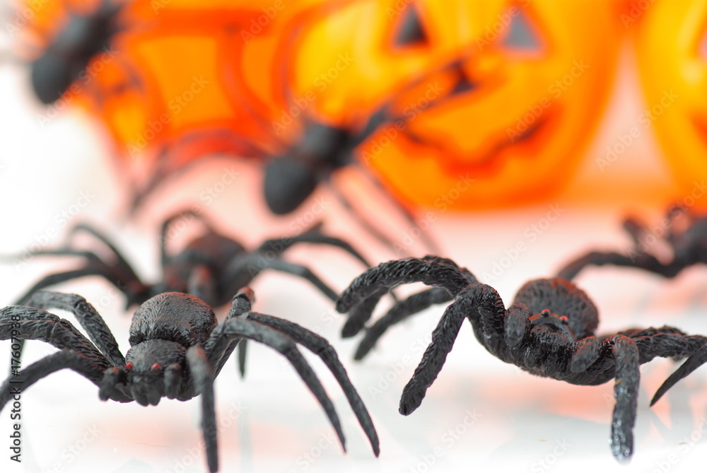 Fototapeta premium Araignées et citrouilles