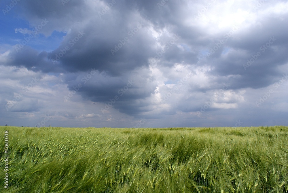 Obraz premium Sturmwolken