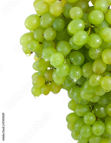 Cluster of ripe, green grapes.
