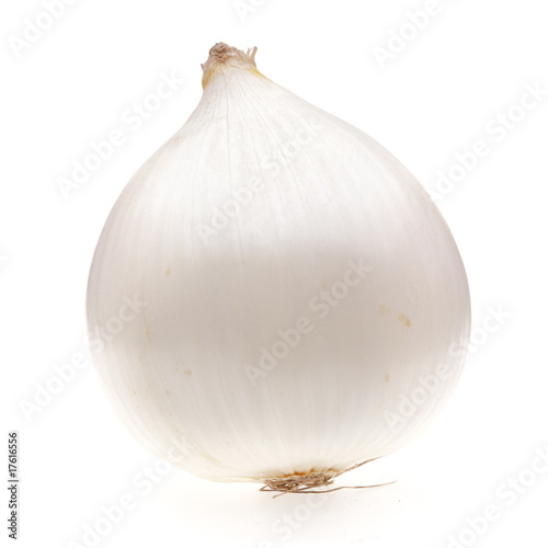 one white onion bulb isolated on white