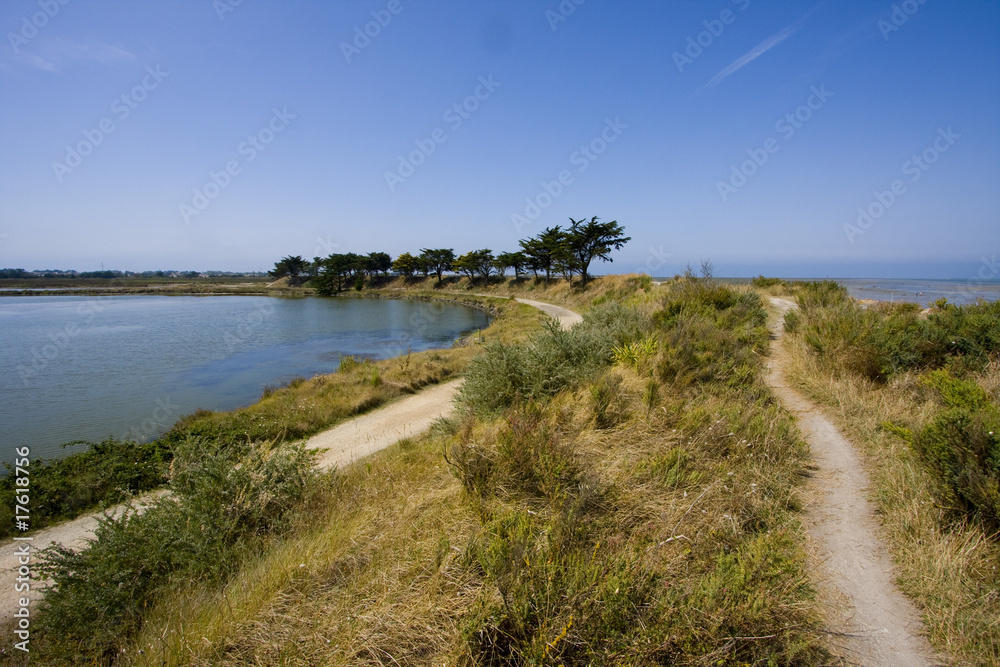 part of the island of noirmoutier