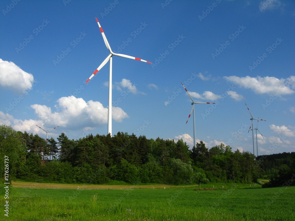 Fototapeta premium Windräder