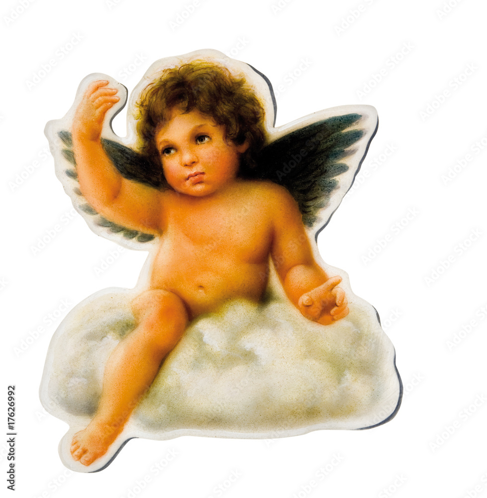 Fototapeta premium Engel