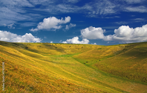 Green field and the blue sky