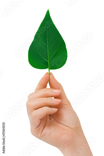 Hand with leaf