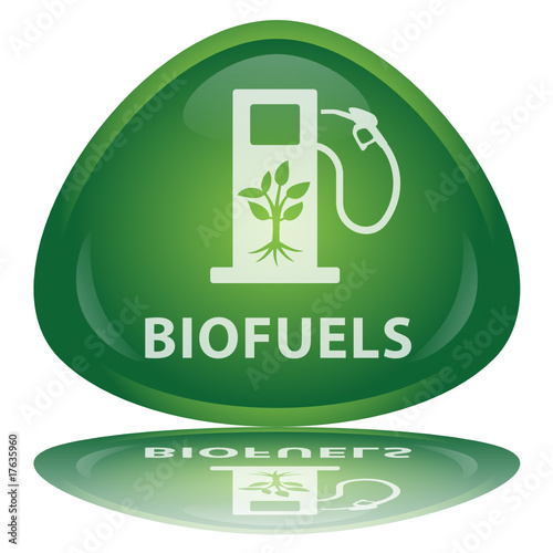 "Biofuels" Button