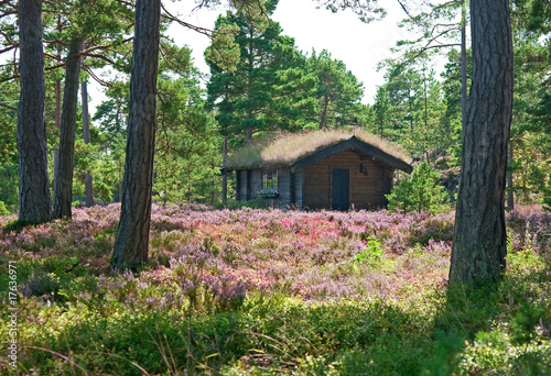 Wooden cabin on a wildflower meadow #17636971