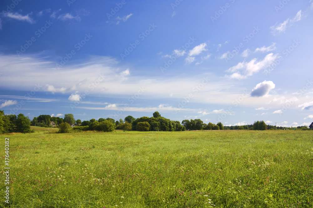 summer landscape