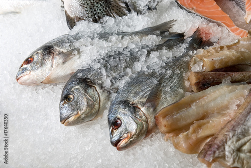 Fish at market