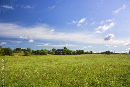 summer landscape