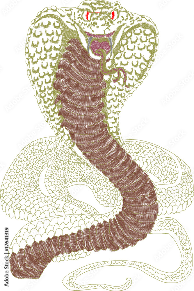 Fototapeta premium snake