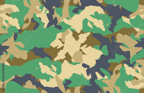 Camouflage seamless vector