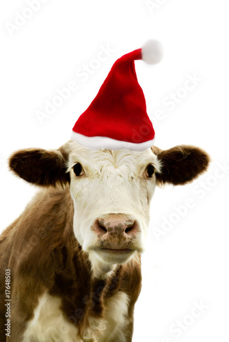 Portrait of a cow wearing a christmas hat. © Pixel Memoirs