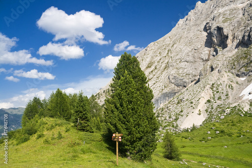 paesaggio alpino