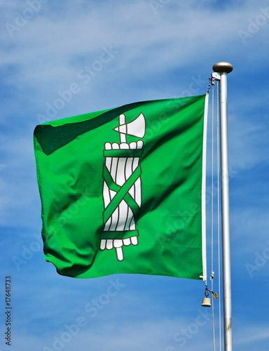 Flag of swiss Kanton St.Gallen photo