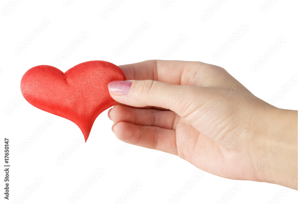 red heart in female hands red heart in female hands