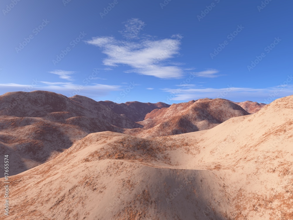 Fototapeta premium Wüste