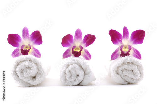 Row of orchid on rolled up towel