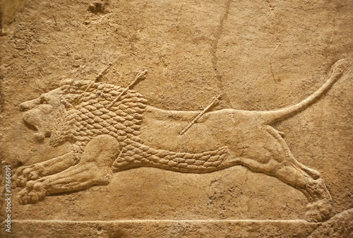 Old assyrian relief of a lion beig hunted