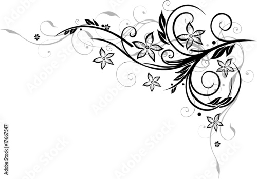 Blume, Blüte, Ranke, filigran, floral, ornamental