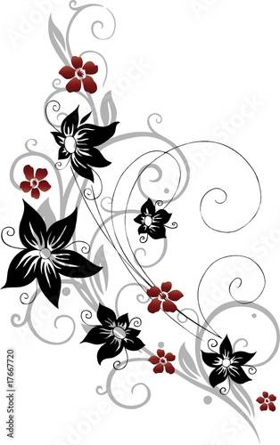 Blume, Blüte, Ranke, filigran, floral, ornamental