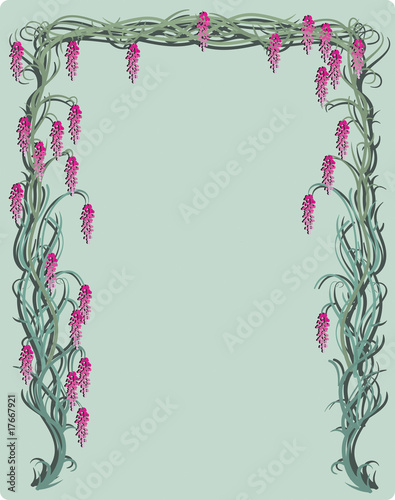 Wisteria statinonary