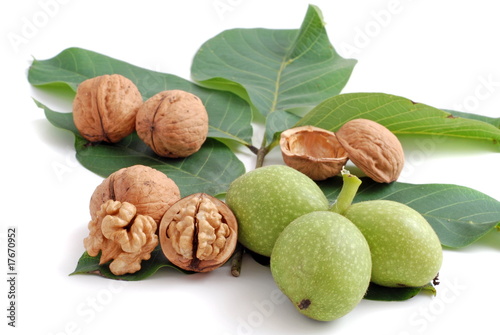 Fresh walnuts