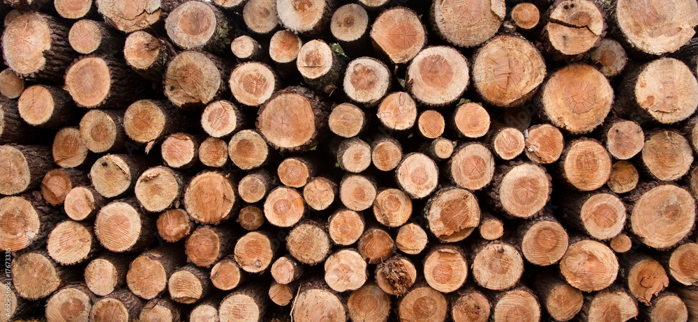 Timber background Timber background