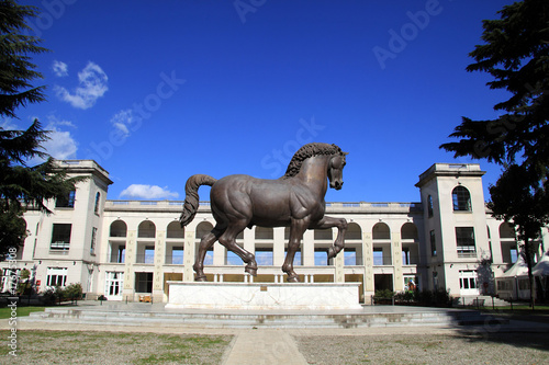 Cavallo di Leonardo photo