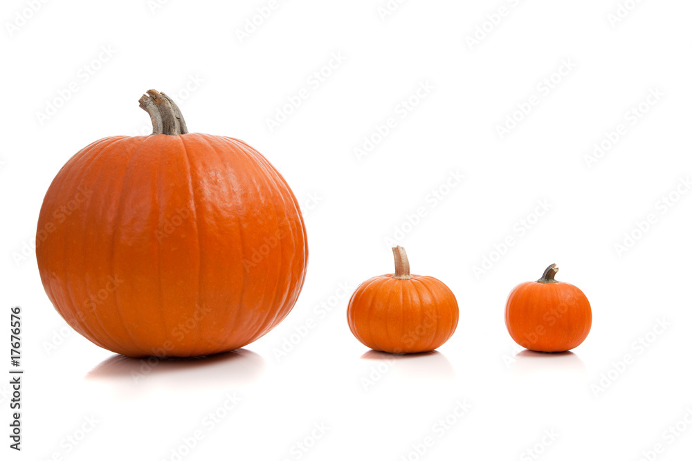 Obraz premium Assorted sizes of pumpkins on a white background