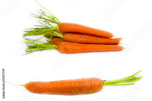 zanahorias aisladas en fondo blanco