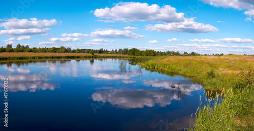 Summer rushy lake panorama