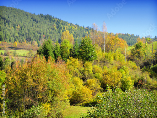 Fototapeta Naklejka Na Ścianę i Meble -  Autumn landscape