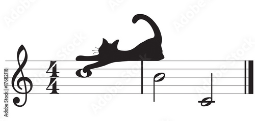 gatti e musica