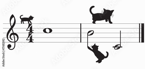 gatti e musica