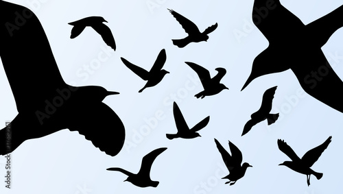 Illustration of birds