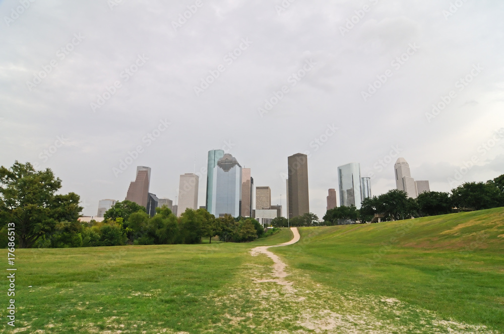 Fototapeta premium Houston Skyline