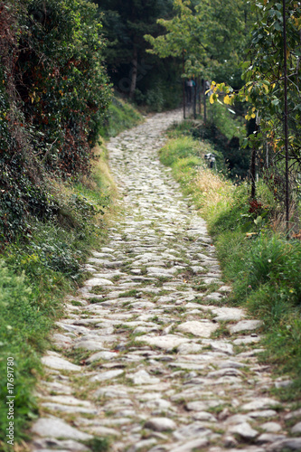 Waalweg bei Meran