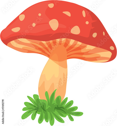 mushroom