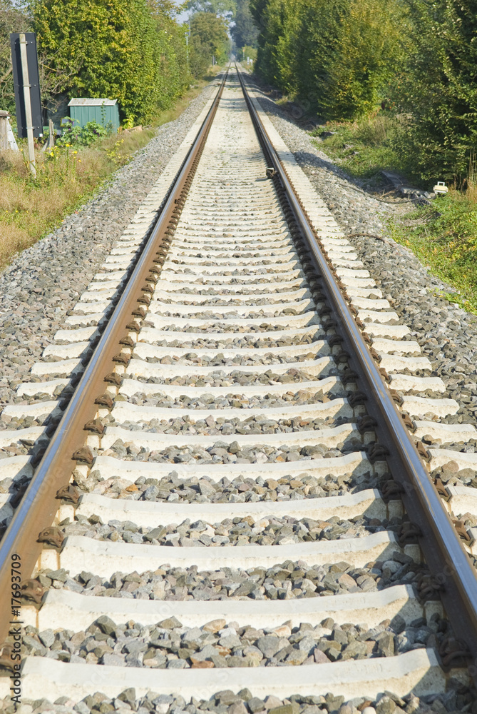 Fototapeta premium Railroad tracks headed into the distance